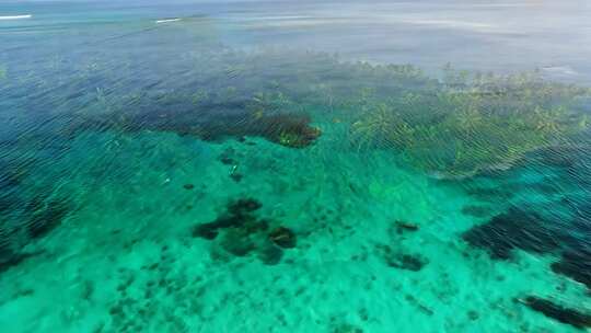 蓝色环礁 翠绿丛林 热带阳光 海风轻拂