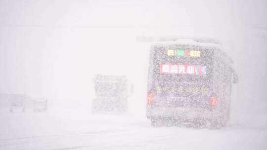 威海高区科技路冬季暴雪街景汽车行人