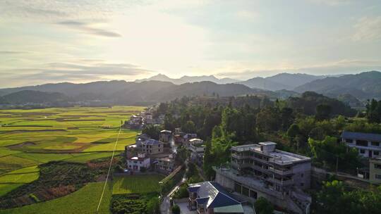 夕阳下金黄稻田村庄