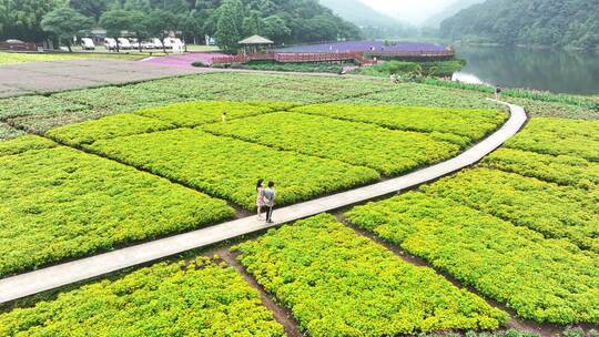 中国广州市从化区石门国家森林公园