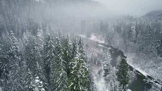 山，冬天，雪，树