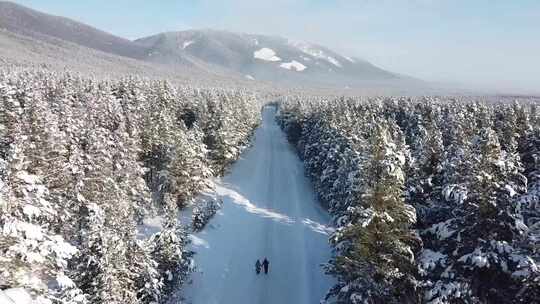 游客在森林游玩雪地积雪航拍