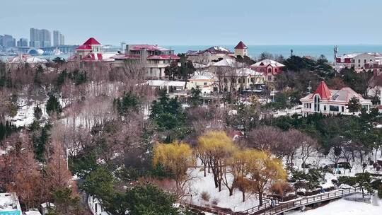 青岛雪景青岛冬天八大关太平角