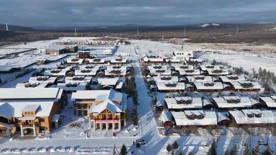 内蒙古敖鲁古雅鄂温克族乡雪景视频素材模板下载