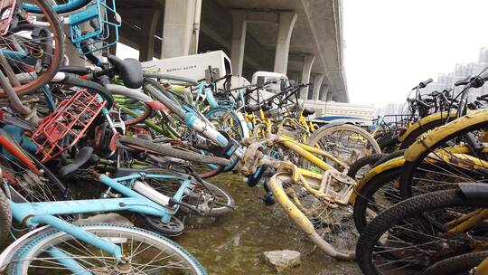 共享单车 单车 共享文化 自行车