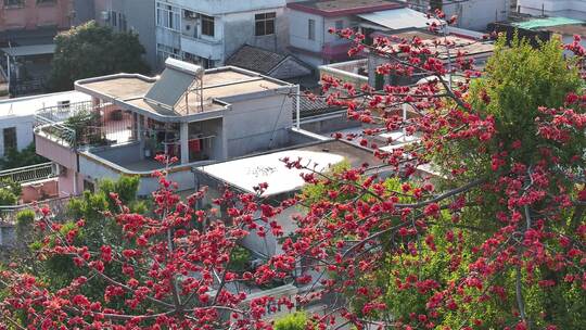 中国广东省广州市番禺区市桥沙湾古镇