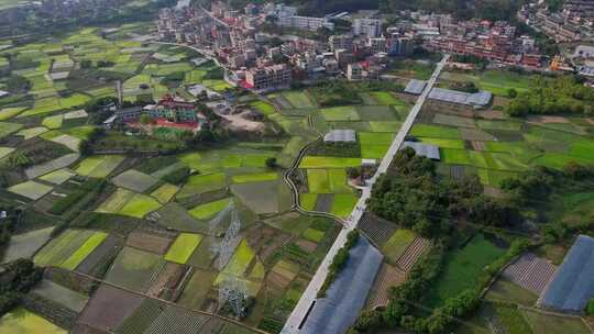 航拍福建新农村景观合集