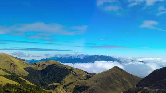 南投 合欢山