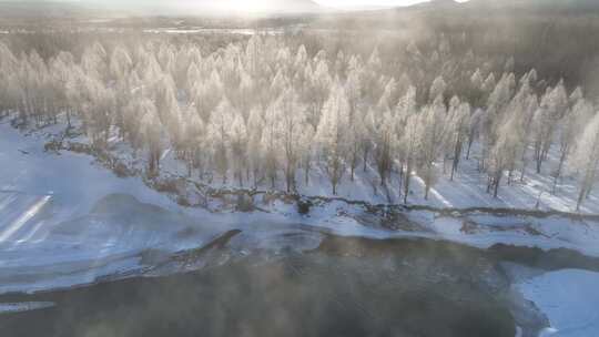 航拍雪原阳光树林雾凇