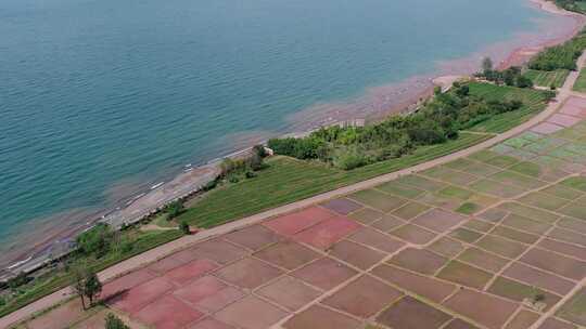 中国云南玉溪抚仙湖风景