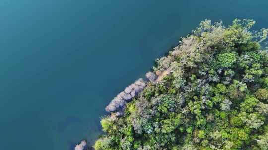 中山长江水库自然保护区