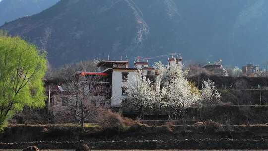 乡村风景丹巴藏寨梨花开