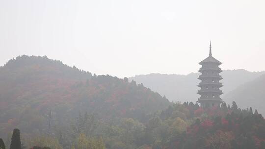 济南红叶谷景区，秋季满山红叶景观