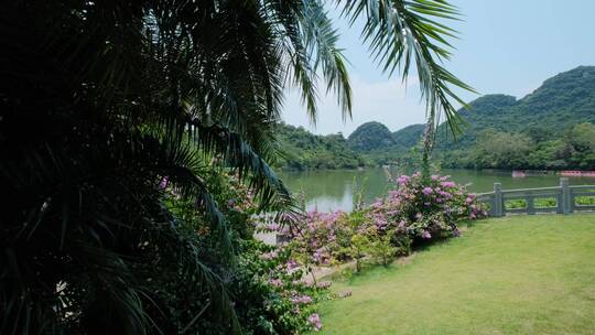 广西柳州山水龙潭公园自然风光美景