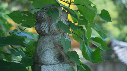 武汉洪山区宝通禅寺皇家寺院