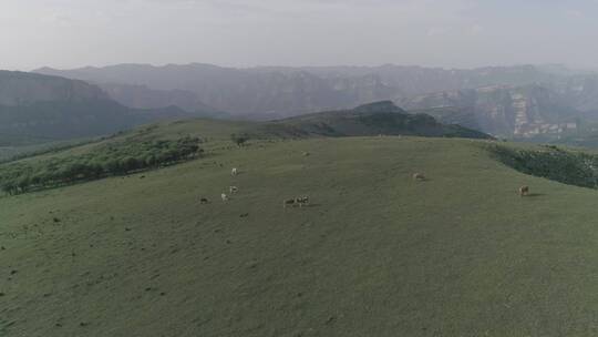 航拍山西旅游胜地太行山脉60帧原素材