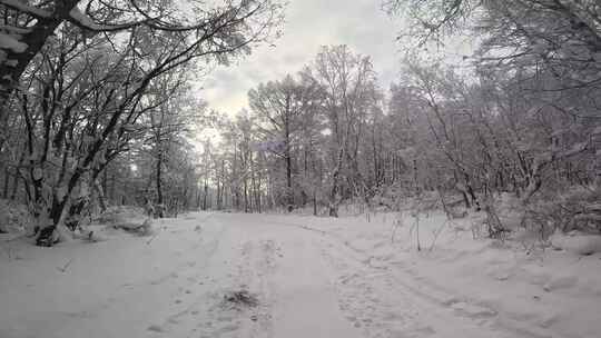 行驶在林海雪原的雪路上