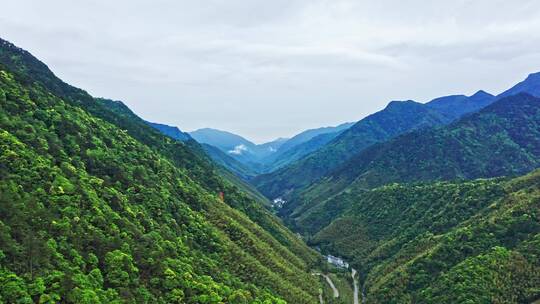 武夷山森林公园山涧山脉航拍前进