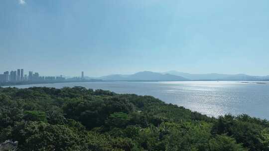 深圳湾红树林航拍福田红树林海滨生态公园视频素材模板下载