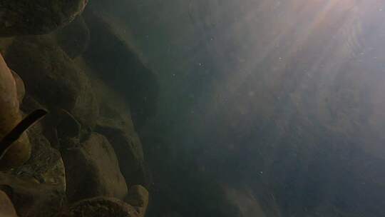 清澈的山涧溪水水下高速升格4K镜头视频素材模板下载