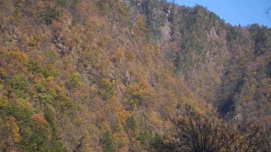 秦岭秋季风景