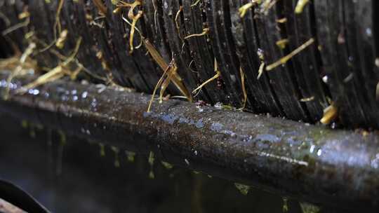 4K实拍古法榨油百年油坊茶油茶籽油加工