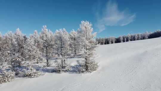 白雪覆盖树木的冬日山林景象