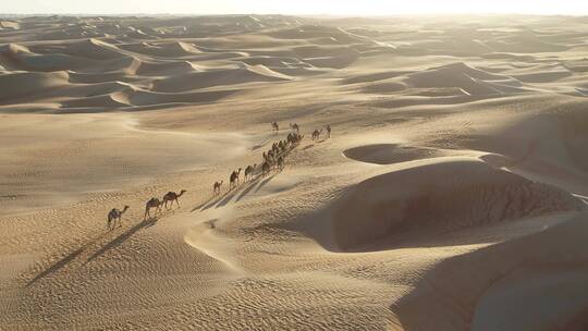 人牵着骆驼在沙漠上行走