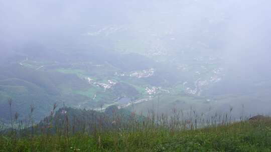 森林云海山峰云雾缭绕雨后树林山林山脉风景