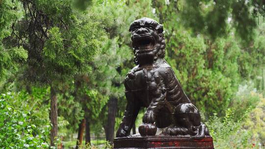 中式园林古莲花池雨景