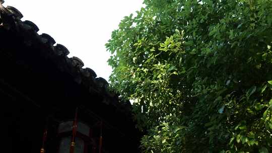 南京瞻园中国四大名园之一建筑细节风光