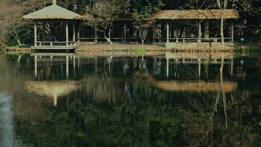 太子湾公园的静谧湖景视频素材模板下载