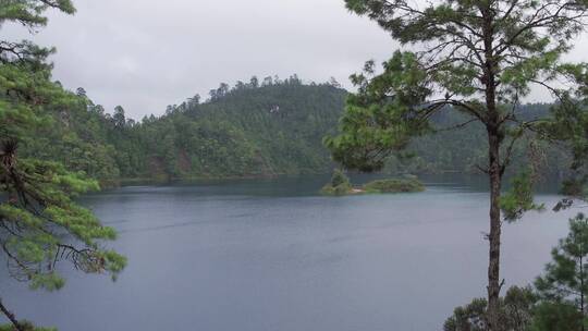 森林里的河流