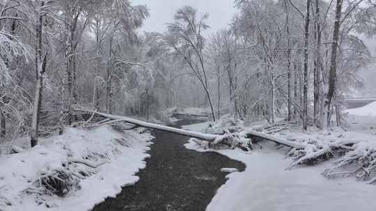 东北冬天长白山寒冷河流不冻河雾凇雪景