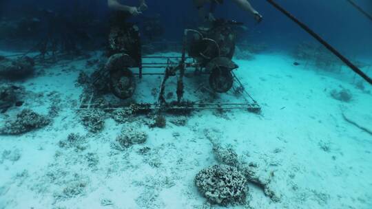 巴厘岛水下雕像浮潜