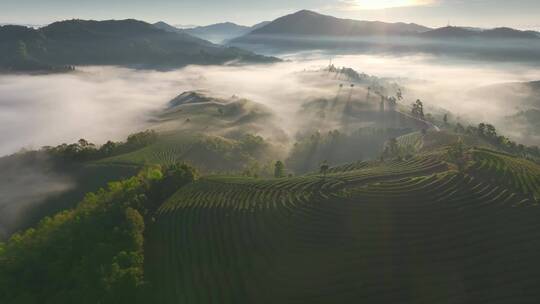 茶山日出云海