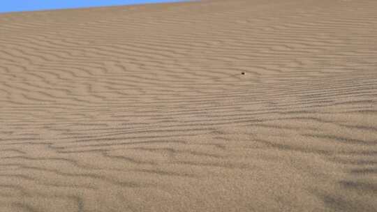 沙漠沙丘表面平行沙纹线