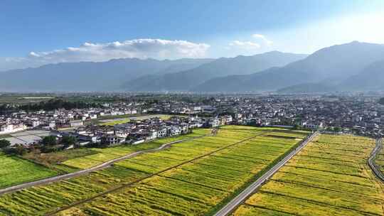 云南大理苍山洱海 喜洲古镇 唯美麦田景观