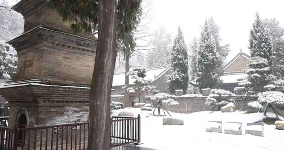 护国兴教寺雪景 寺院  唐三藏寺院