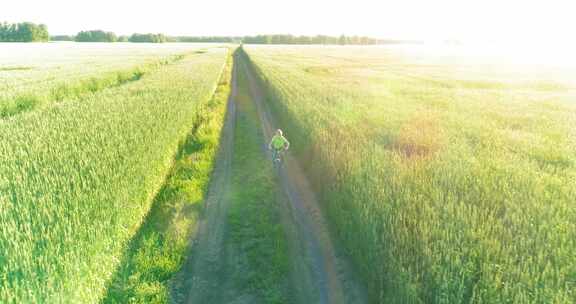 鸟瞰骑自行车穿过旧乡村公路上的麦草地的小