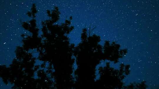 夜空中树木上移动的星星时间流逝