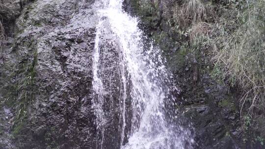 山泉小溪流水升格水流