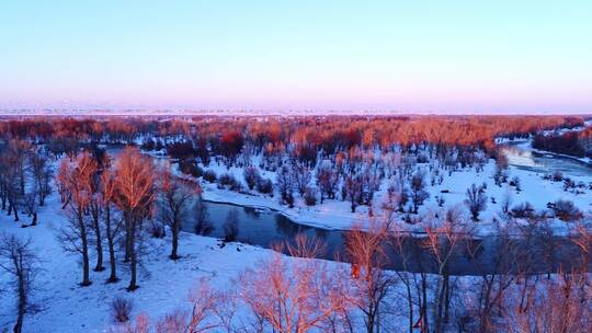 新疆天山夕阳下的林海雪原