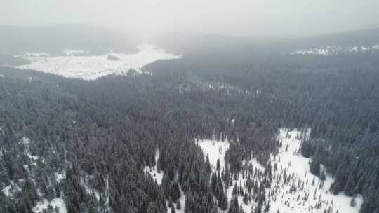 冬天雪景航拍林海雪原雾凇雪地视频素材模板下载