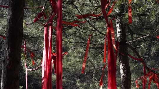 月老庙 祈福 许愿 人文 风景