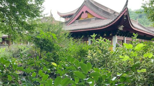 4k 佛教寺庙古建筑特写