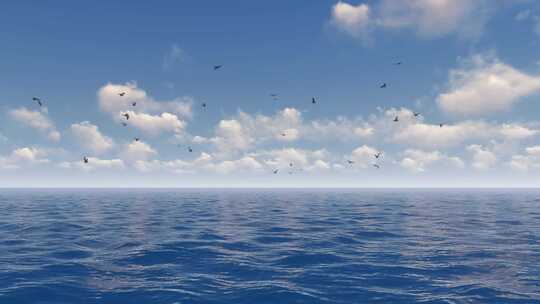 大海 海鸥飞翔