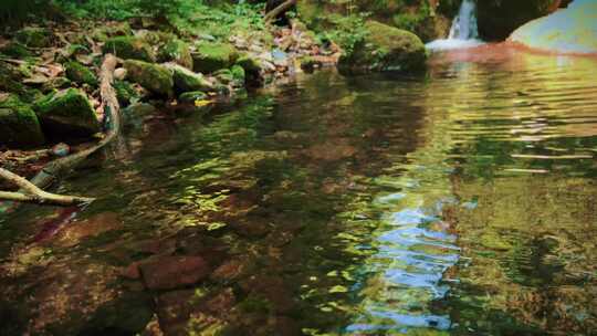 山沟里的清澈小溪流彩石头阳光 河水流淌