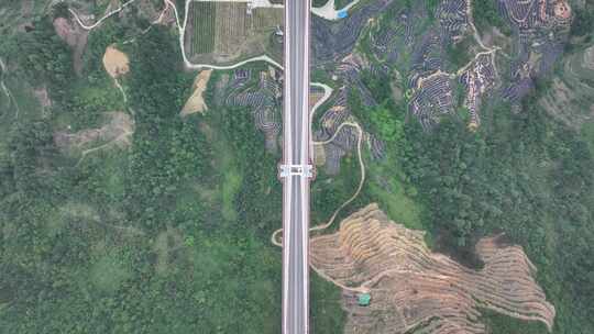俯拍贵州平塘大桥视频素材模板下载