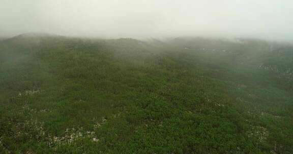 航拍大兴安岭春季原始森林极端天气降雪